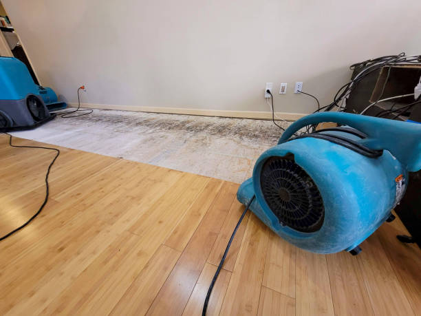 Professional Sewage Cleanup technician working in Montgomery, GA